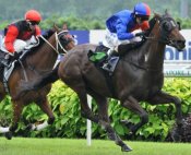 Peaceful Warrior<br>Photo by Singapore Turf Club